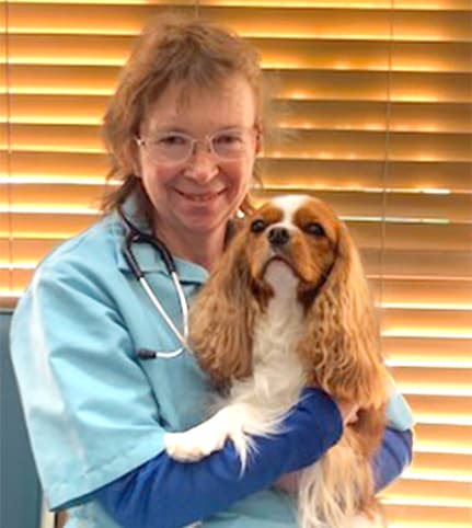 Dr. Darla Jochum, Medford Veterinarian