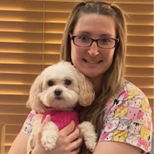 Chelsea, Medford Veterinary Assistant